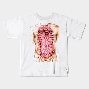 body anatomy Kids T-Shirt